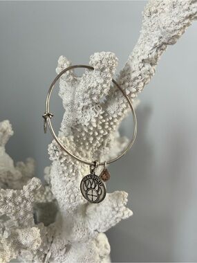 Alex and Ani bear spirit bracelet